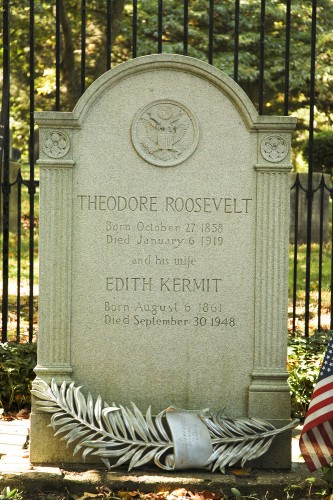 Home Of Theodore Roosevelt