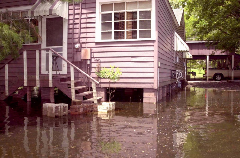 Louisiana Tropical Storm Allison (DR-1380)