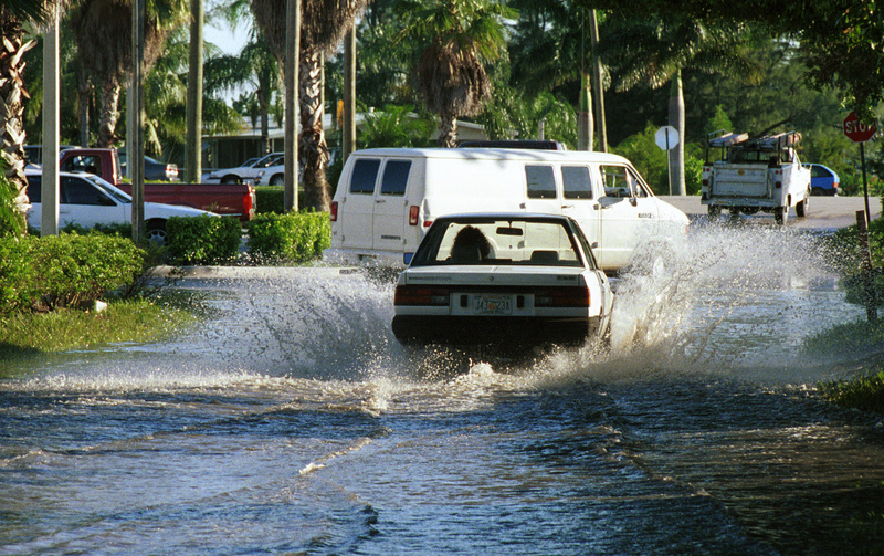 Florida Hurricane Irene (DR-1306)