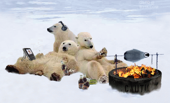 24765d1217904315-endangered-polar-bears-not-real-cause-global-warming....gif