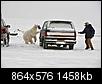 One final question about guns and Barrow-polar-bear-chase3.bmp