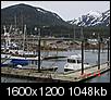 Juneau, Kodiak or Auke Bay??-116.jpg