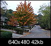 Beautiful Fall foilage of Atlanta on google maps..-mvc-006s.jpg