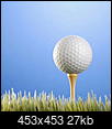 What do you think should be done with the Georgia Golf Hall of Fame Property-large_golf-ball-tee.jpg