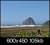 Driving up the California coast - what to see?-lostcoast2.jpg