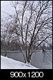 3"-6" Inches of snow tommorow (1/20/09)?-dsci0126-mcalpine-creek-park-fishing-pond.jpg
