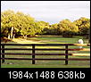 Private, Serene and Extremely Quiet: 25 MIN from DFW This Unique, 5BR/3BA Private /Gated - Equestrian Estate-4 Lease-p1030005.jpg