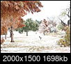 Winter Ice Storm Events - December, 2013 - DFW Area-pc060147-small.jpg
