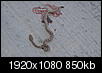 Is this a rattlesnake?-p5220656.jpg