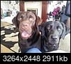 Is My lab too small?-20140721_162200.jpg