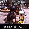 Pittsburgh Tiny Dog/Puppy Play Dates-photo_041809_001.jpg