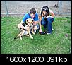 Pittsburgh Tiny Dog/Puppy Play Dates-100_0988.jpg