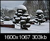 Pictures of Oregon's Big Snow 2008-img_2372.jpg