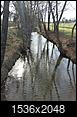 Botanical Garden of Ozarks VS. Crystal Bridges Grounds smackdown-creek.jpg