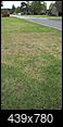 Can you please help with my grass-unnamed-2.jpg