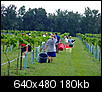 vineyard bloncs harvest-0807130172-1.jpg