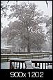 Snow for Hampton Roads~-winter-2010-december-26-003.jpg