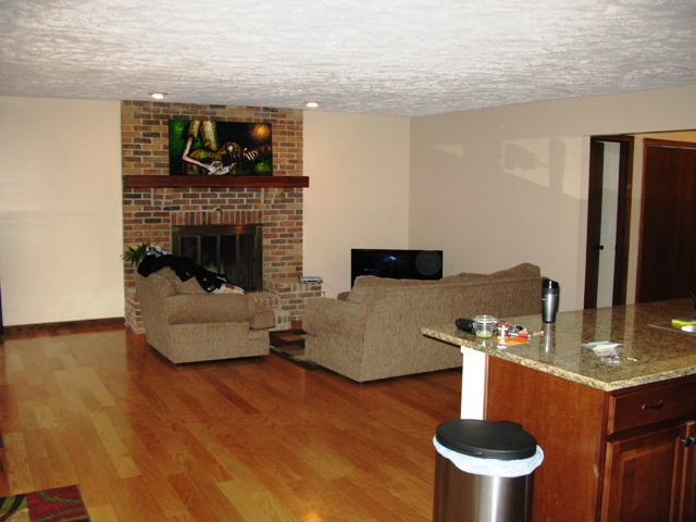 Color Ideas for kitchen/living room (open floor plan ...