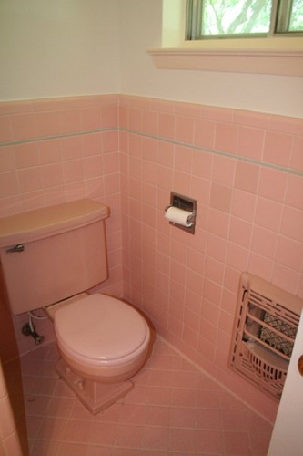 Crazy Bathroom Colours | Beautiful Home Design