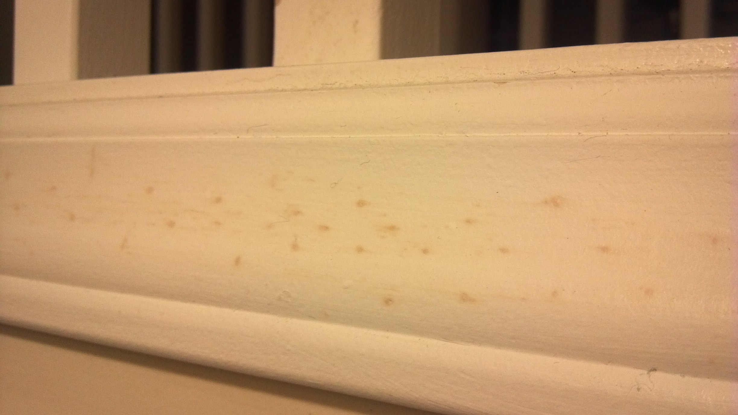 Yellow Brown Spots Coming Through Paint On Trim Colors Installed