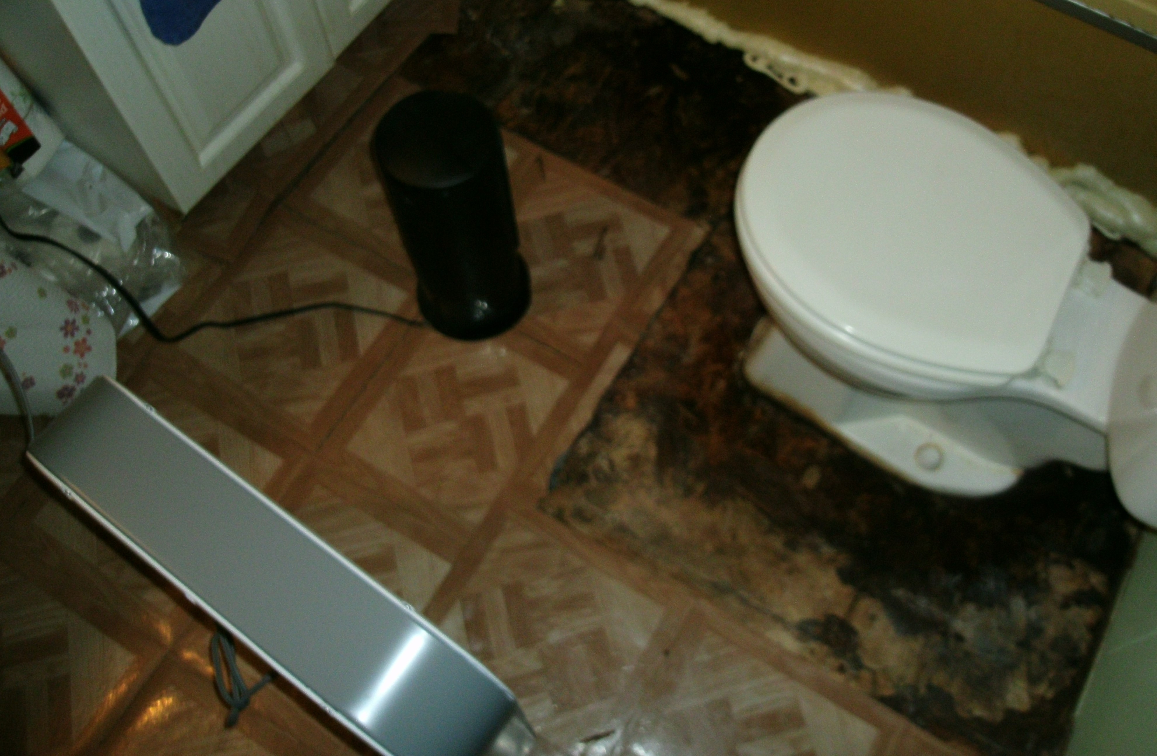 Water Damage Bathroom Subfloor