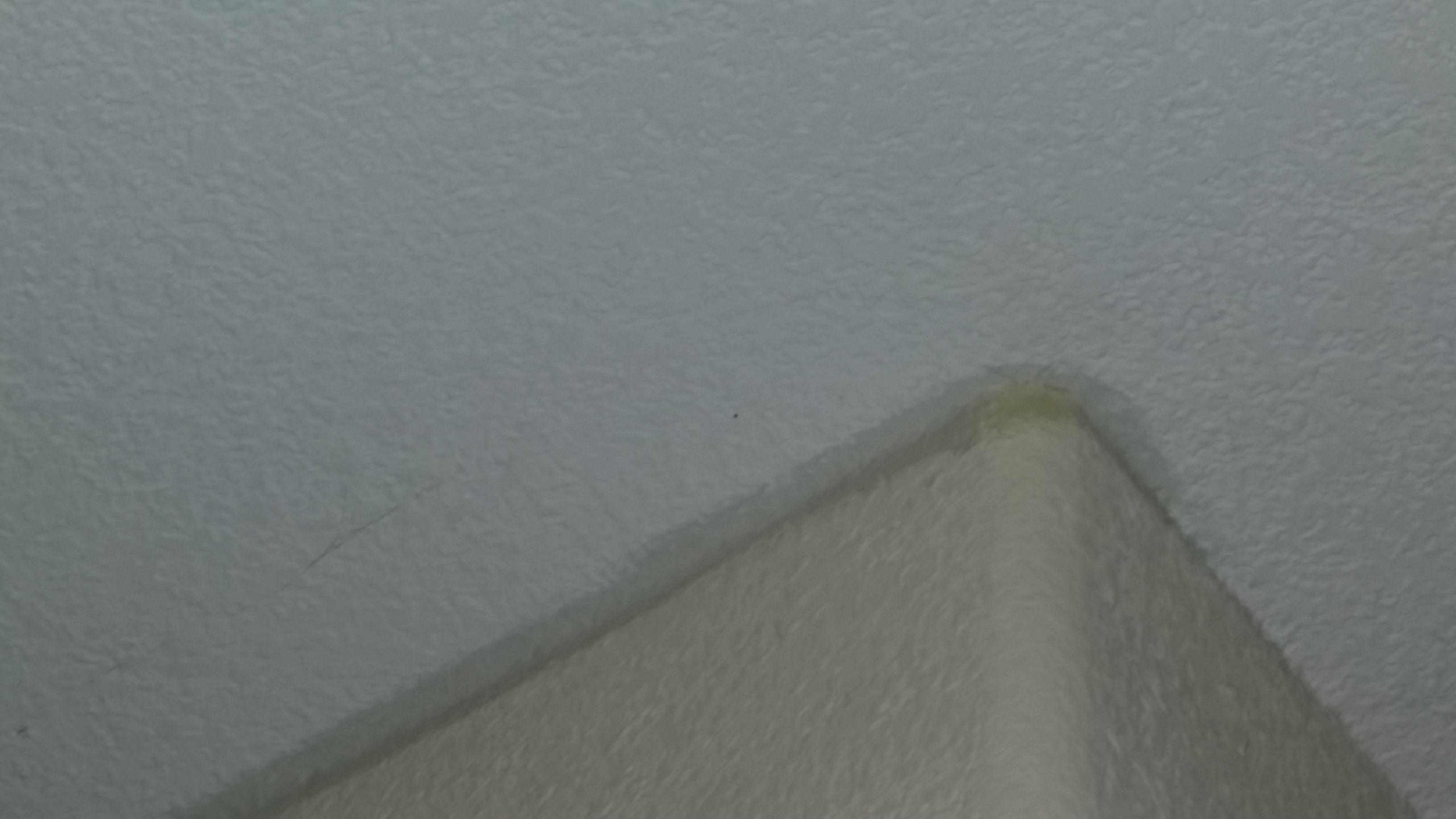 Cracks In Ceiling Throughout The House How Much Foundation