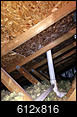 Darker Plywood Underlayment of Roof, Issue?-img_7563.jpg