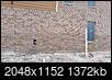 Builder/bricker put in wrong mortar on the brick-20141976.jpg