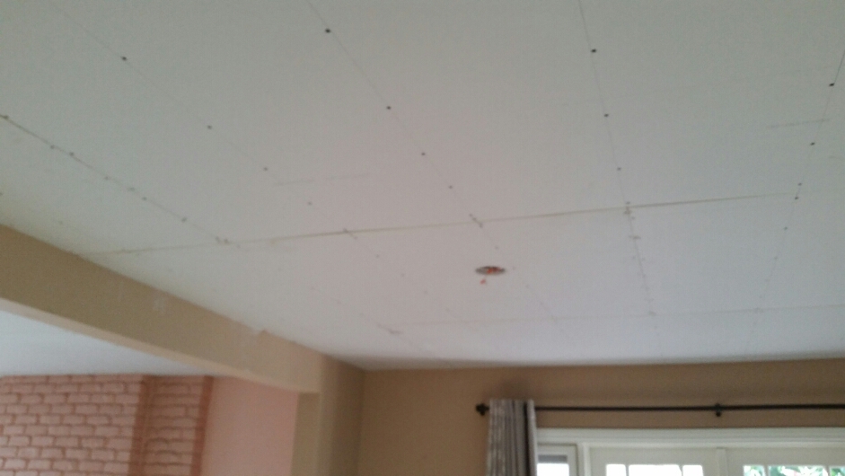Plaster Stucco Popcorn Ceiling Removal 3 Contractors 3