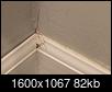 Are these spiders dangerous (pics attached)?-spider-3.jpg