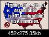 Immigration without assimilation is not immigration it is an invasion-capture.jpg