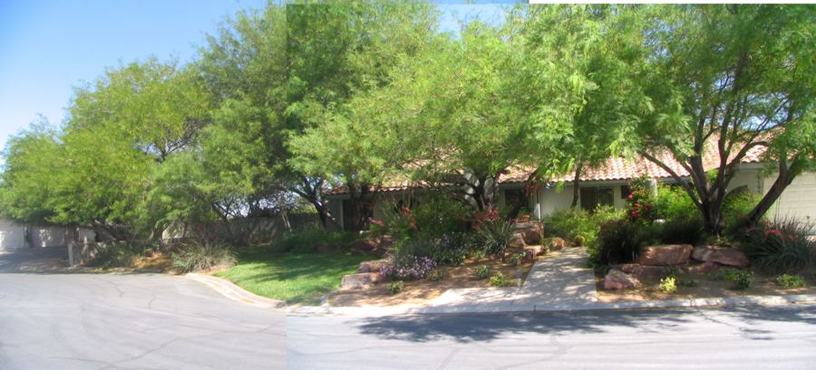 desert front yard landscaping pictures. And next is our desert