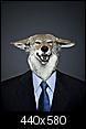 Seeking Estate Wolf Lawyer-wolf_lawyer.jpg