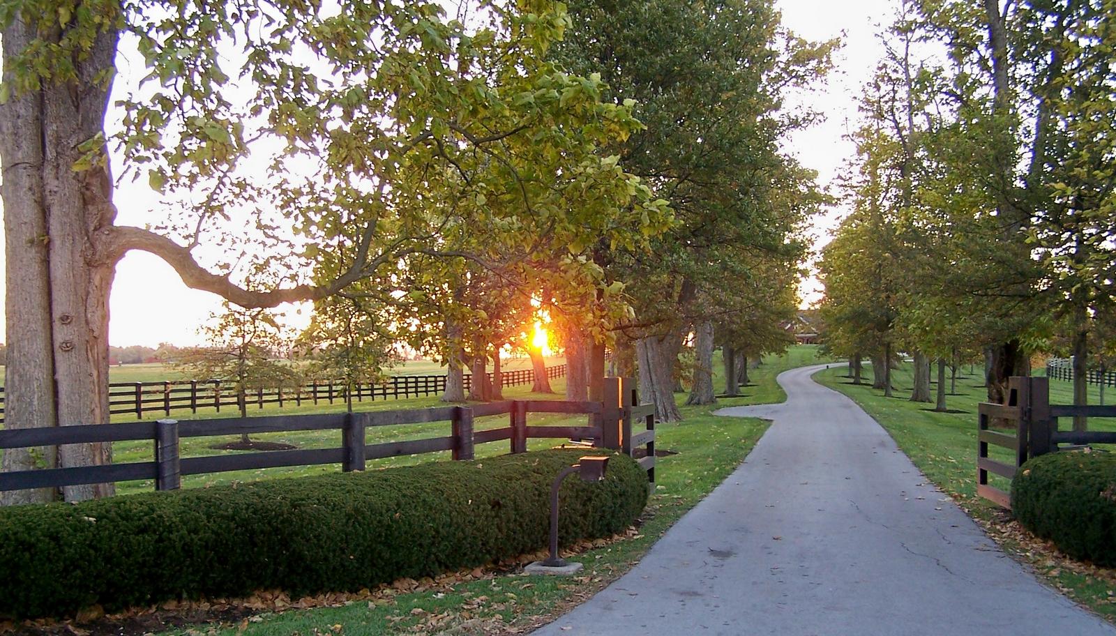 driveway entrance with fence | Driveways | Pinterest
