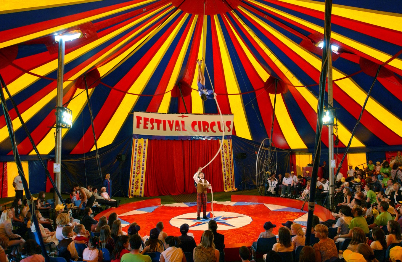 Pictures Of A Circus 28