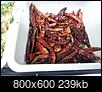 Where can I find peppers like these?-peppers-800x600-.jpg