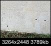 holes on concrete overnight , bugholes?-img_3968.jpg