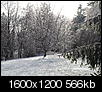 12/11/08 Ice Storm Photos-novdec08-1-.jpg