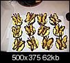 NEPAs Own Off-Topic Thread ( family, home, photos)-butterfly-cupcakes.jpg