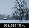 My neighborhood today ~ let it snow, let it snow, let it snow-afternoon121607a.jpg