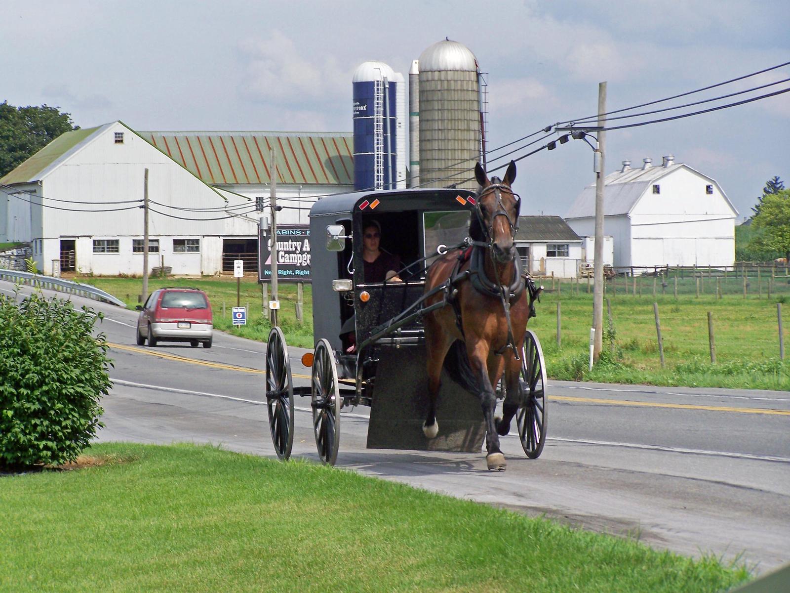 Very popular images: Amish Country