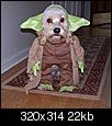 Cute Pictures Only.-yoda.jpg