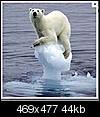 The Arctic's Record Breaking Ice Melt-save-ummmmmmmmmmmmmmmmmmm.jpg