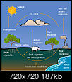 AGW and the carbon cycle-carboncycle.jpg