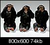 Group of evolving monkeys.-ctw_html_ea7da88.jpg