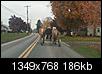 Amish families exempt from insurance mandate-img00001-20091030-1009.jpg