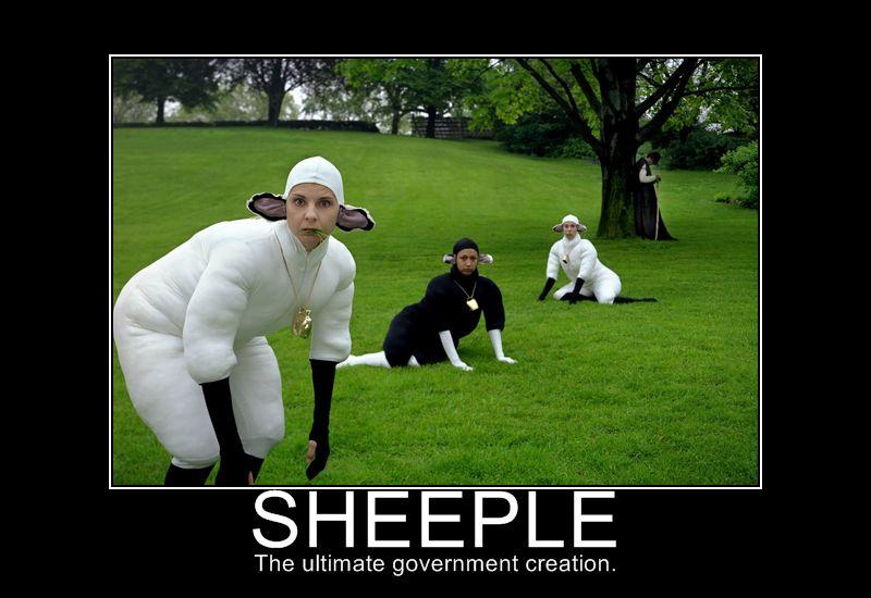 sheeple quotes. Quote: