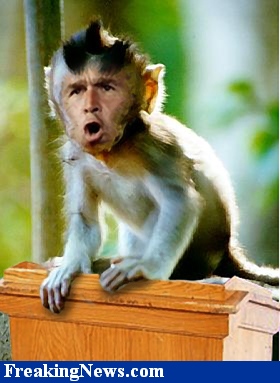 Monkey Racist