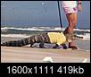 Fatal Florida Alligator Attack Confirmed-image.jpeg