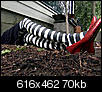Mortgage Underwriter madness-gby1907_1c-witch-legs_s4x3_lg.jpg